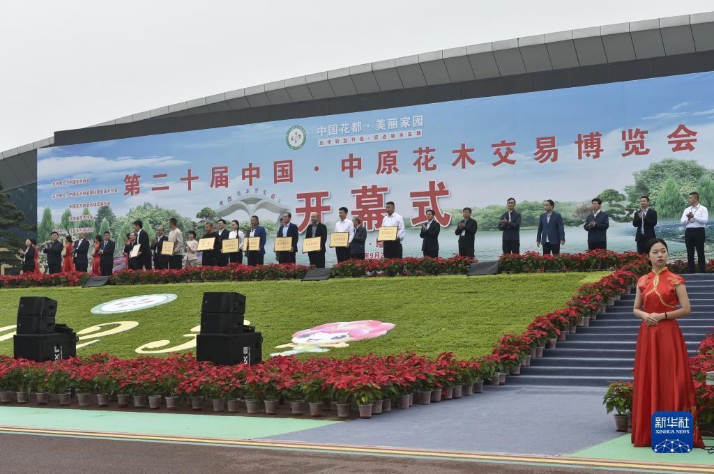 欧赔比较